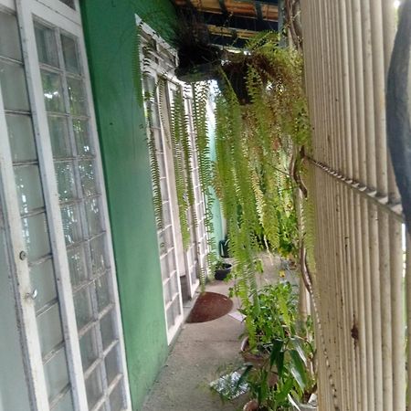 Ubatuba Surf Spot Bed & Breakfast Cameră foto
