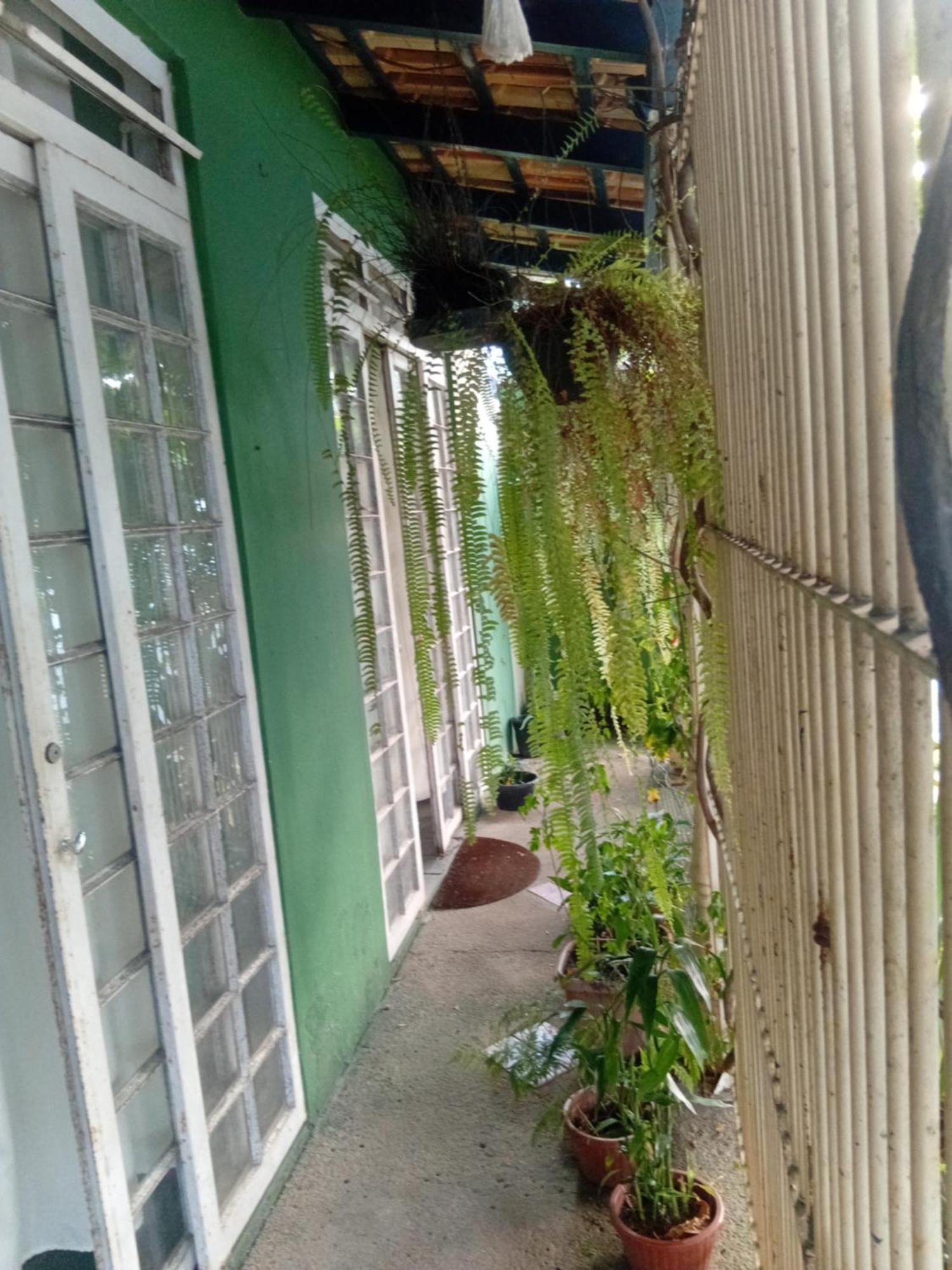 Ubatuba Surf Spot Bed & Breakfast Cameră foto